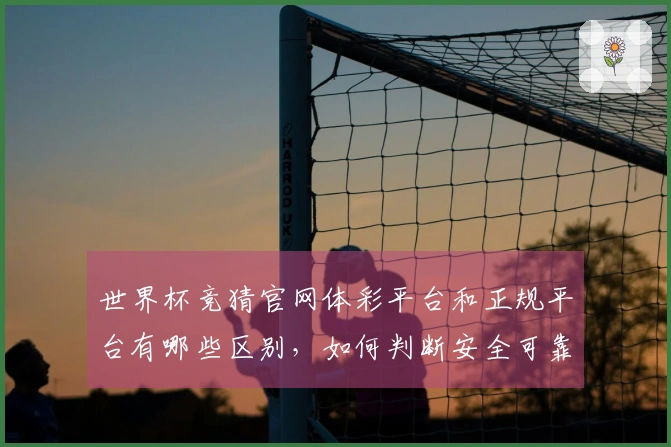 世界杯竞猜官网体彩平台和正规平台有哪些区别，如何判断安全可靠？