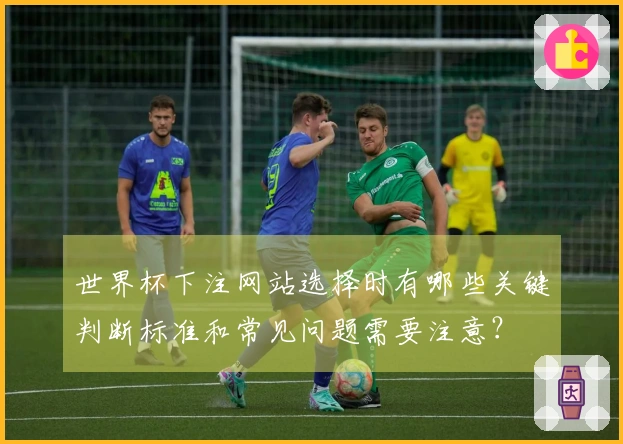 世界杯下注网站选择时有哪些关键判断标准和常见问题需要注意?