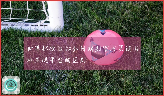 世界杯投注站如何辨别官方渠道与非正规平台的区别