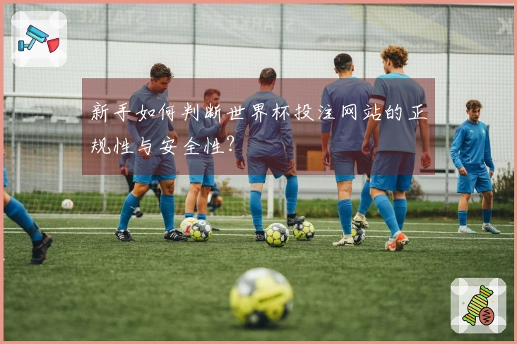 新手如何判断世界杯投注网站的正规性与安全性？