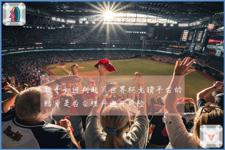 新手如何判断买世界杯竞猜平台的赔率是否合理并避开风险