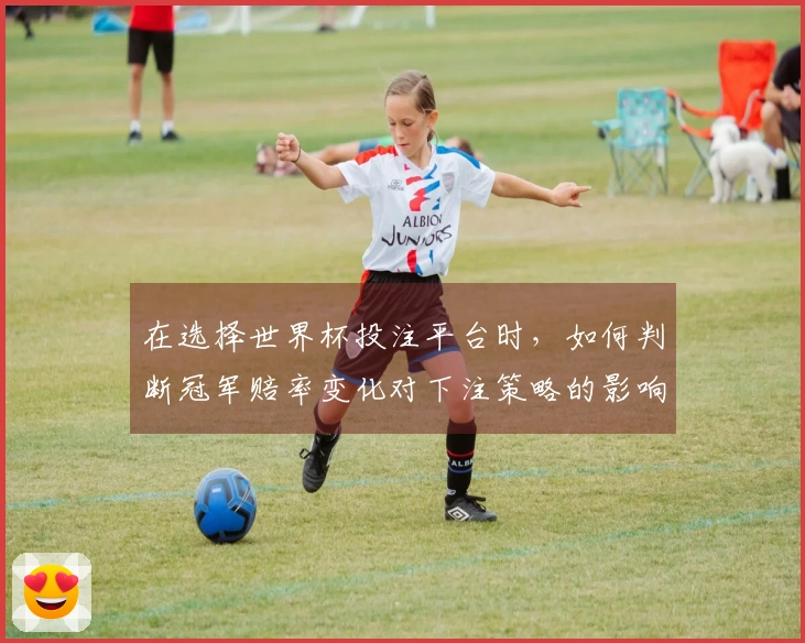 在选择世界杯投注平台时，如何判断冠军赔率变化对下注策略的影响？