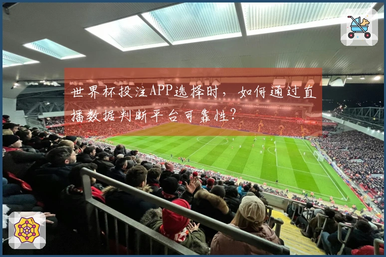 世界杯投注APP选择时，如何通过直播数据判断平台可靠性？