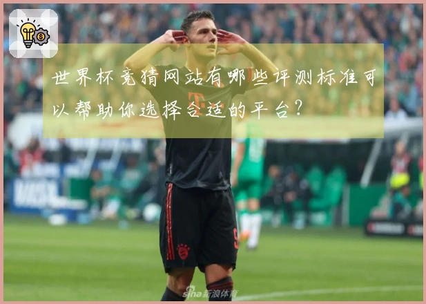 世界杯竞猜网站有哪些评测标准可以帮助你选择合适的平台？