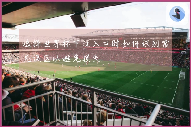 选择世界杯下注入口时如何识别常见误区以避免损失