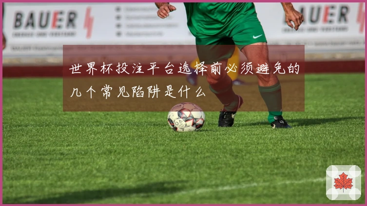 世界杯投注平台选择前必须避免的几个常见陷阱是什么