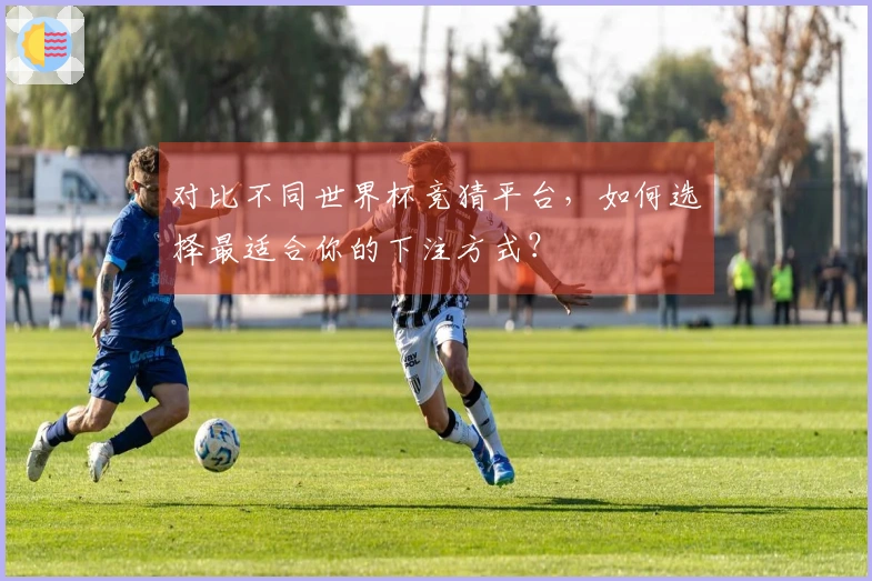 对比不同世界杯竞猜平台，如何选择最适合你的下注方式？