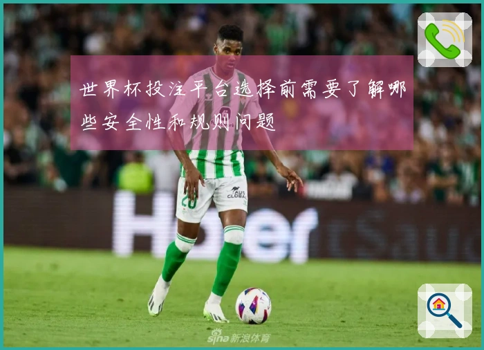 世界杯投注平台选择前需要了解哪些安全性和规则问题