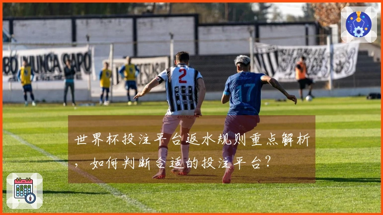 世界杯投注平台返水规则重点解析，如何判断合适的投注平台？