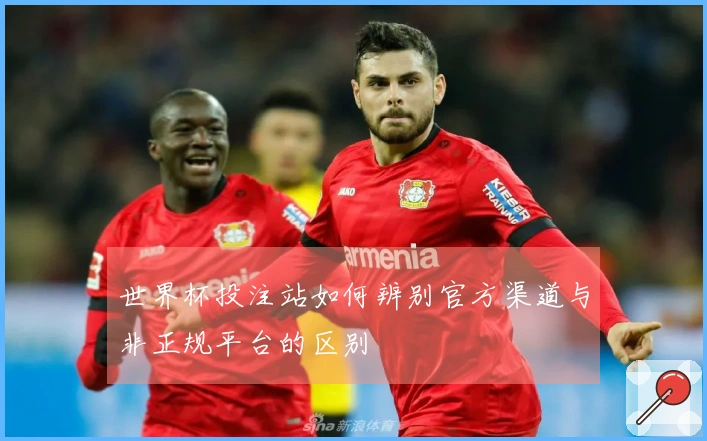 世界杯投注站如何辨别官方渠道与非正规平台的区别