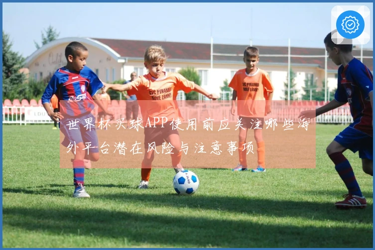 世界杯买球APP使用前应关注哪些海外平台潜在风险与注意事项