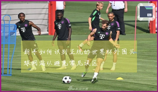 新手如何识别正规的世界杯外围买球网站以避免常见误区