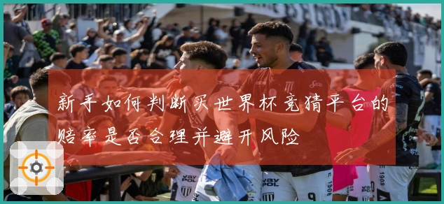 新手如何判断买世界杯竞猜平台的赔率是否合理并避开风险