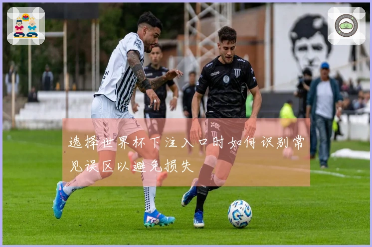 选择世界杯下注入口时如何识别常见误区以避免损失