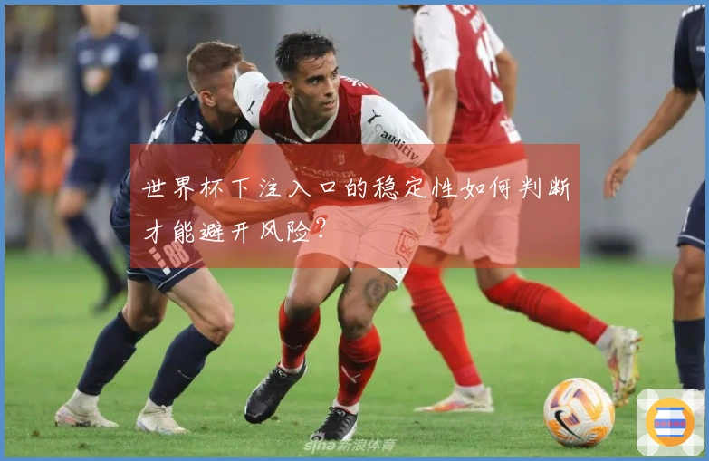 世界杯下注入口的稳定性如何判断才能避开风险？
