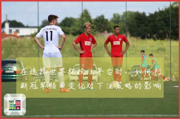 在选择世界杯投注平台时，如何判断冠军赔率变化对下注策略的影响？