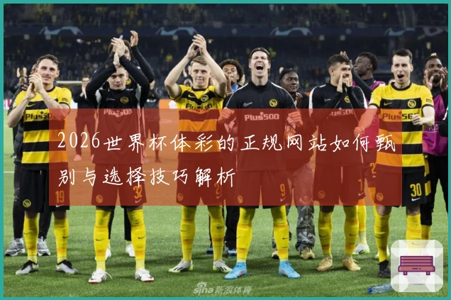 2026世界杯体彩的正规网站如何甄别与选择技巧解析