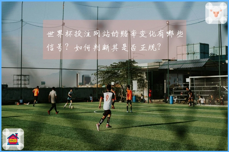 世界杯投注网站的赔率变化有哪些信号？如何判断其是否正规？