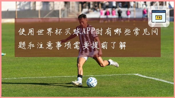 使用世界杯买球APP时有哪些常见问题和注意事项需要提前了解