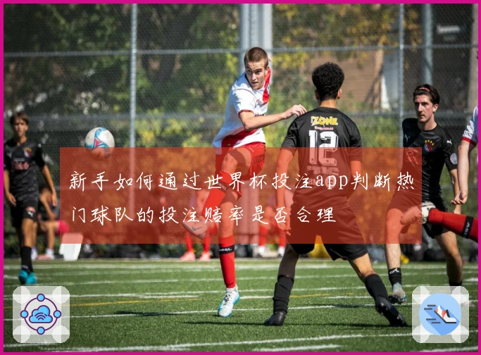 新手如何通过世界杯投注app判断热门球队的投注赔率是否合理