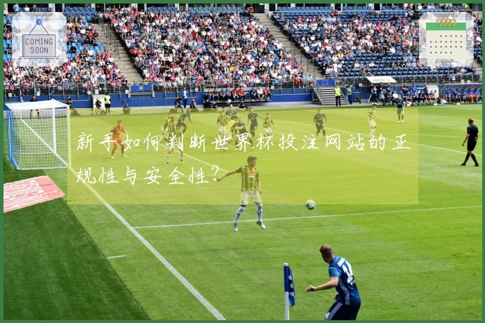 新手如何判断世界杯投注网站的正规性与安全性？