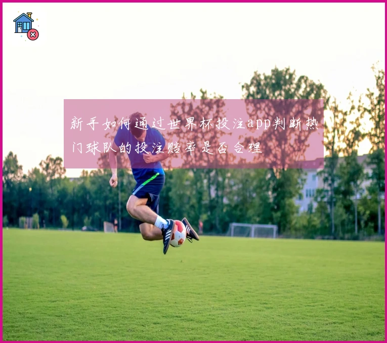 新手如何通过世界杯投注app判断热门球队的投注赔率是否合理