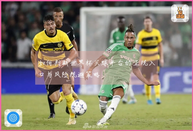 如何判断世界杯买球平台的正规入口与风险规避策略