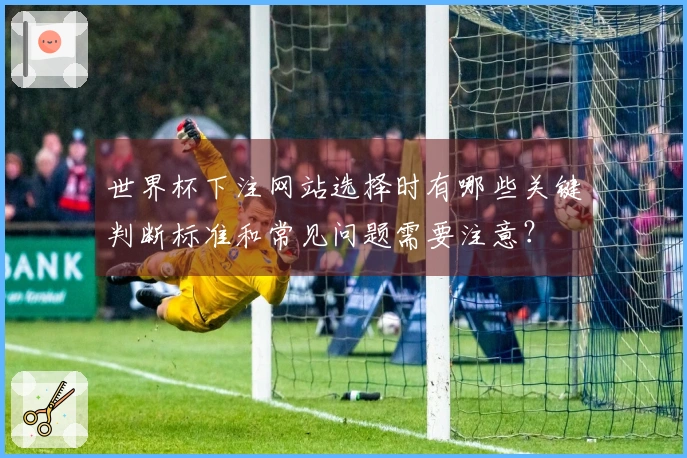 世界杯下注网站选择时有哪些关键判断标准和常见问题需要注意？