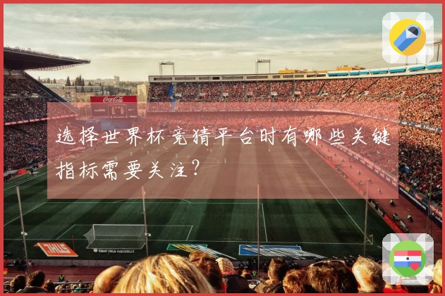 选择世界杯竞猜平台时有哪些关键指标需要关注？